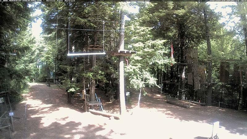 Ontree Park