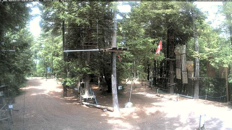 Ontree Park