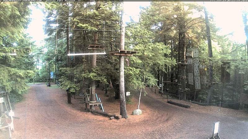 Ontree Park