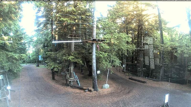 Ontree Park
