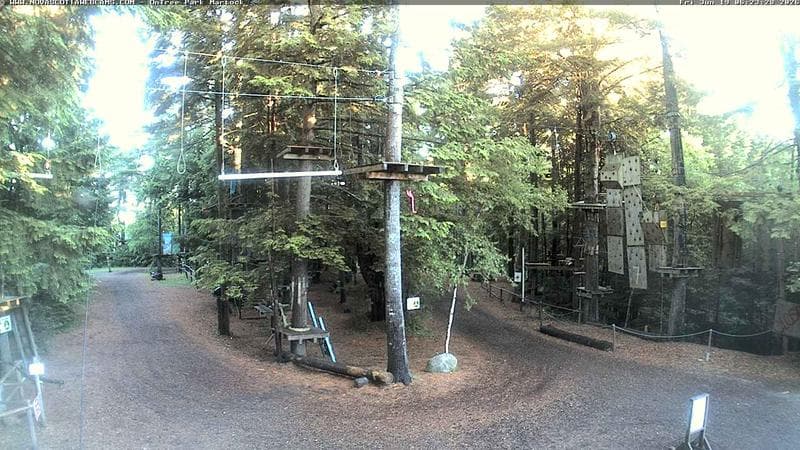 Ontree Park