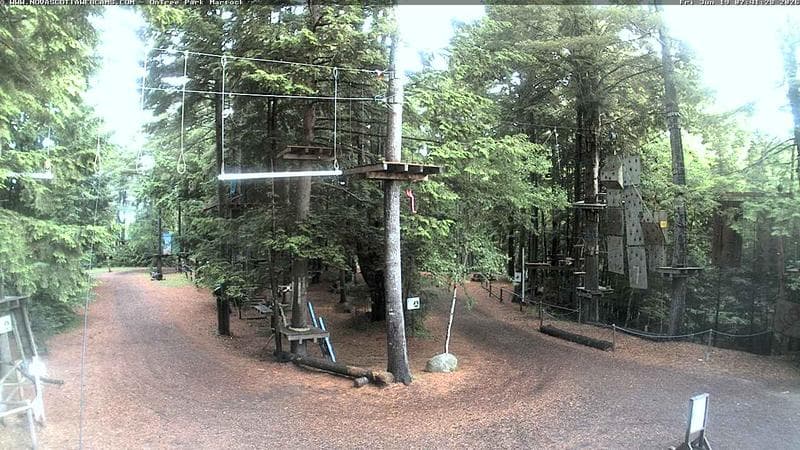Ontree Park