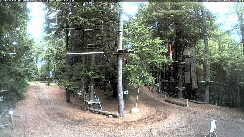 Ontree Park