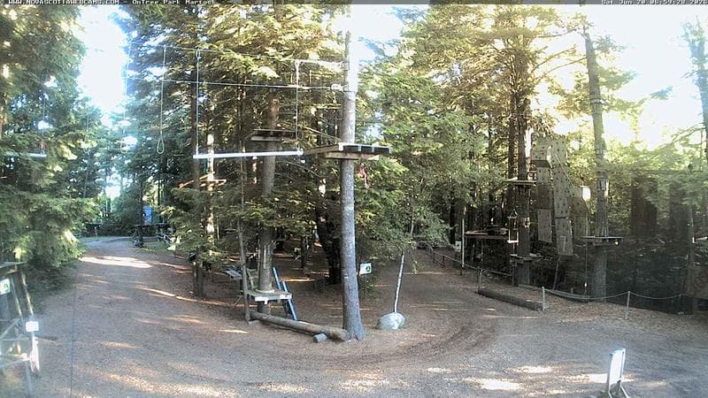 Ontree Park