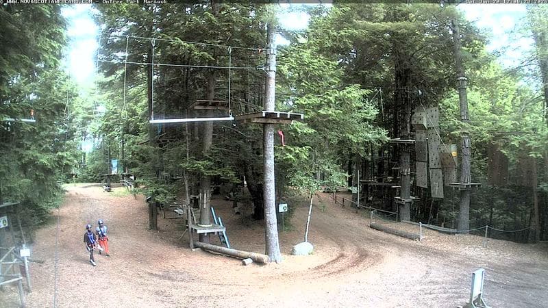 Ontree Park