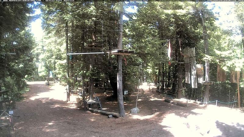Ontree Park