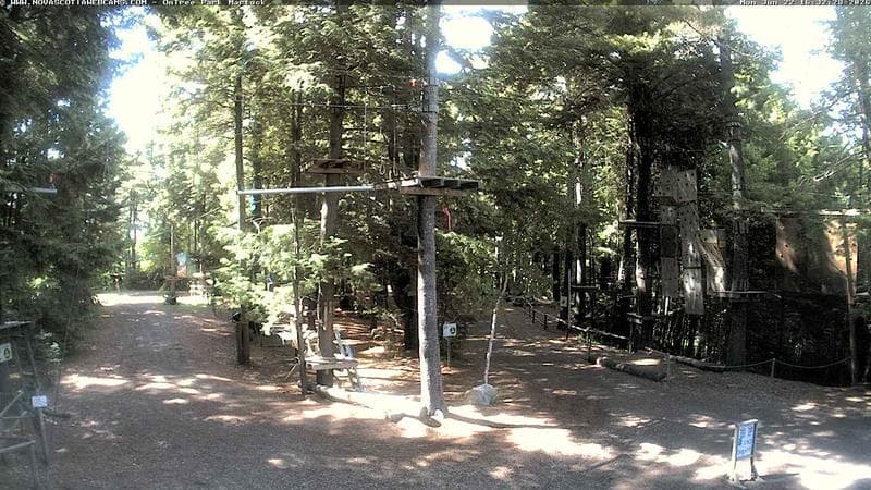 Ontree Park