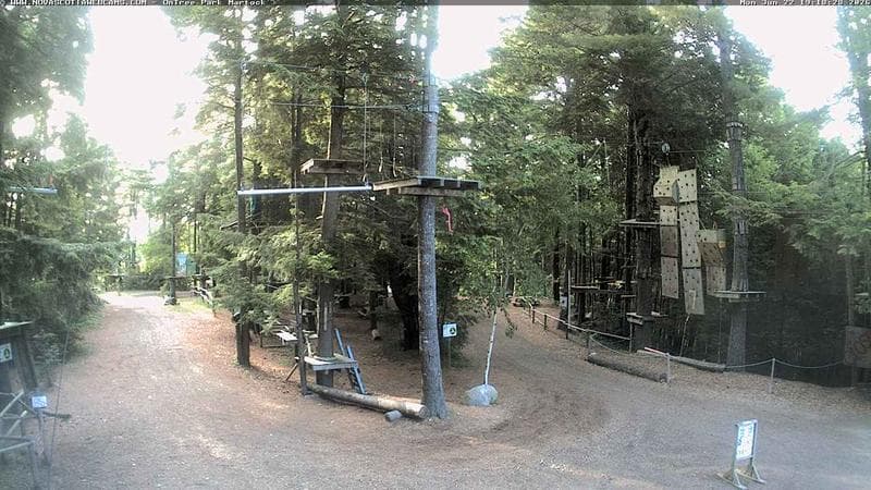 Ontree Park