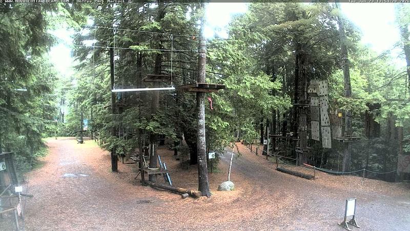 Ontree Park