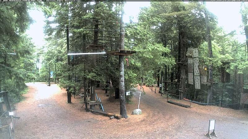 Ontree Park