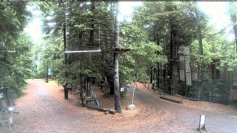 Ontree Park
