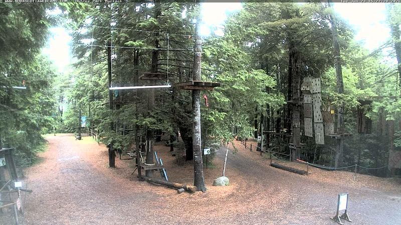 Ontree Park