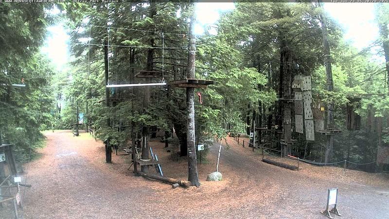 Ontree Park