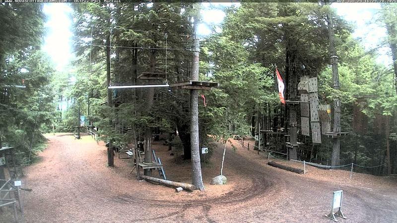 Ontree Park