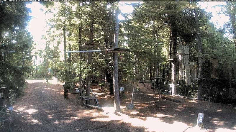 Ontree Park