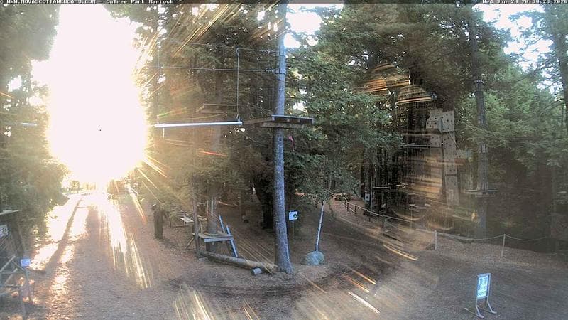 Ontree Park