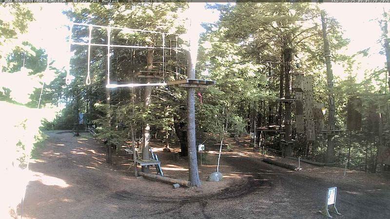 Ontree Park
