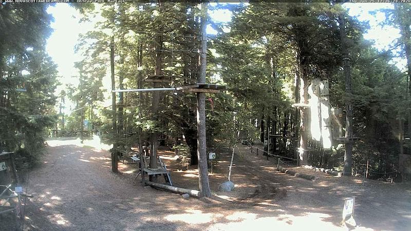 Ontree Park