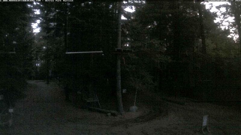 Ontree Park
