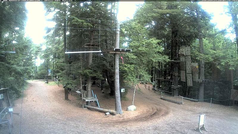 Ontree Park