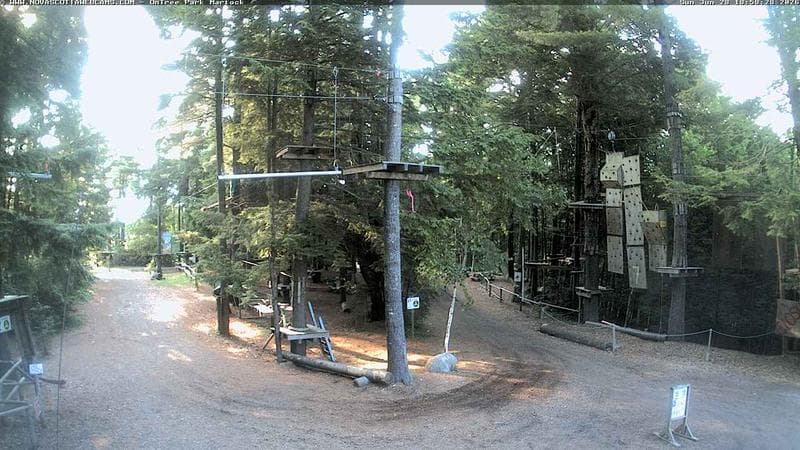 Ontree Park