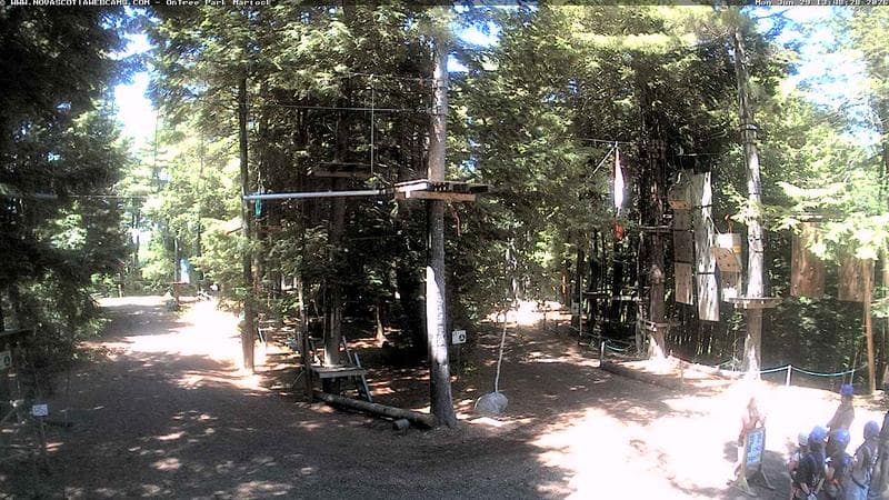 Ontree Park
