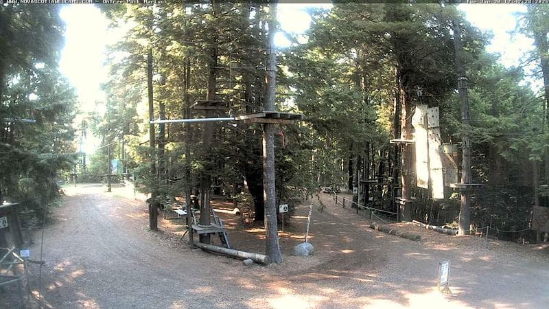 Ontree Park