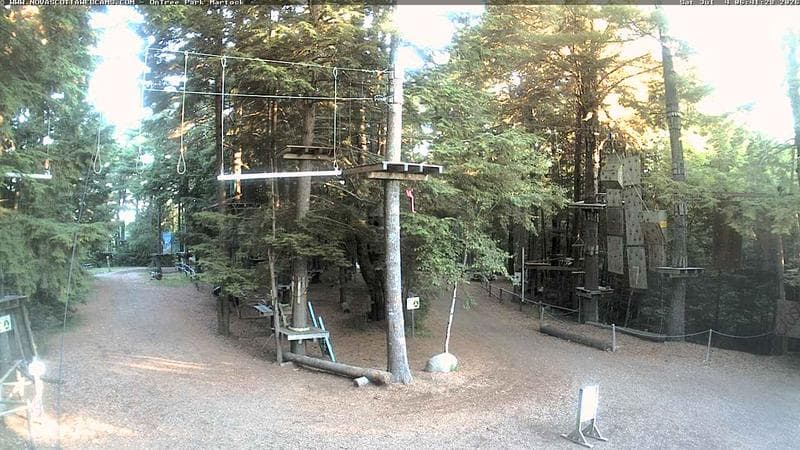 Ontree Park