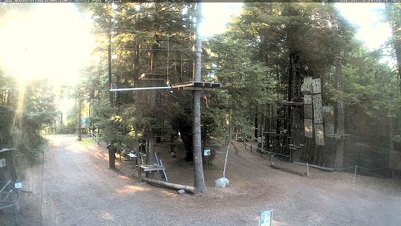 Ontree Park