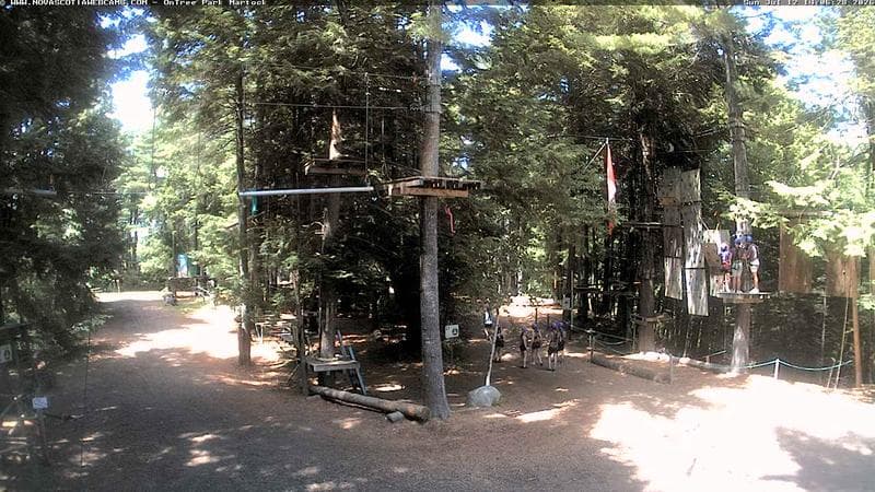 Ontree Park