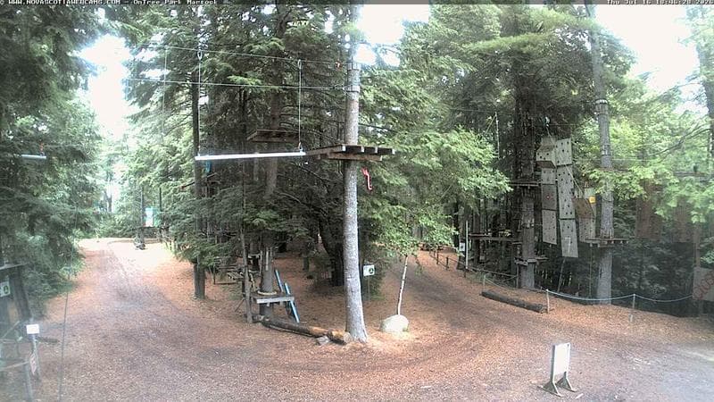 Ontree Park