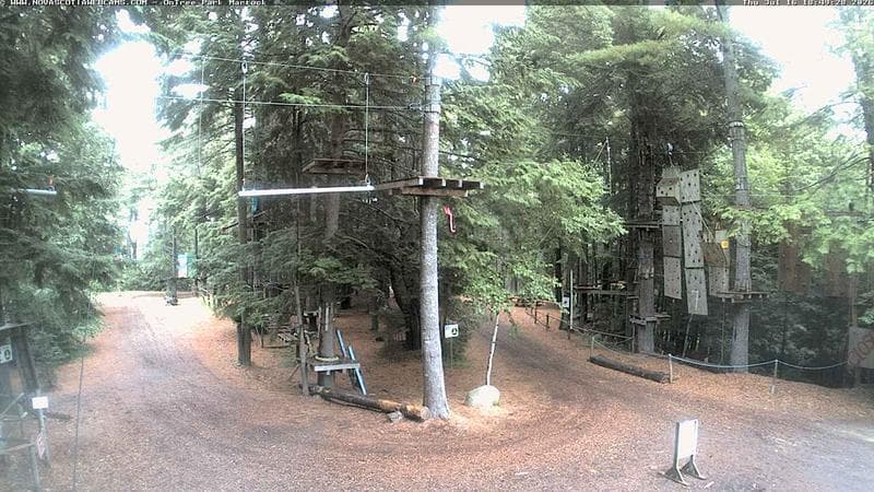 Ontree Park