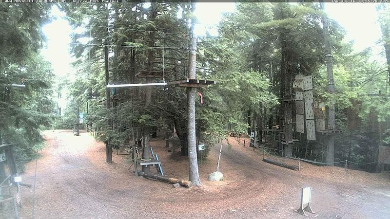 Ontree Park