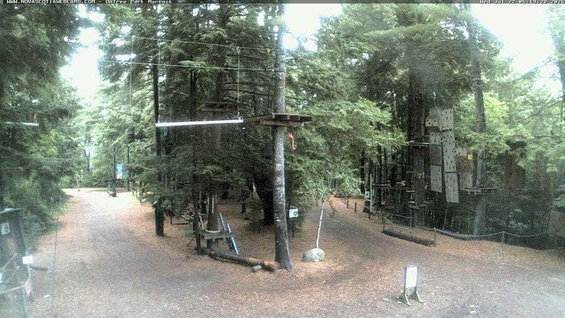 Ontree Park