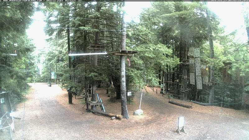 Ontree Park