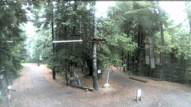 Ontree Park