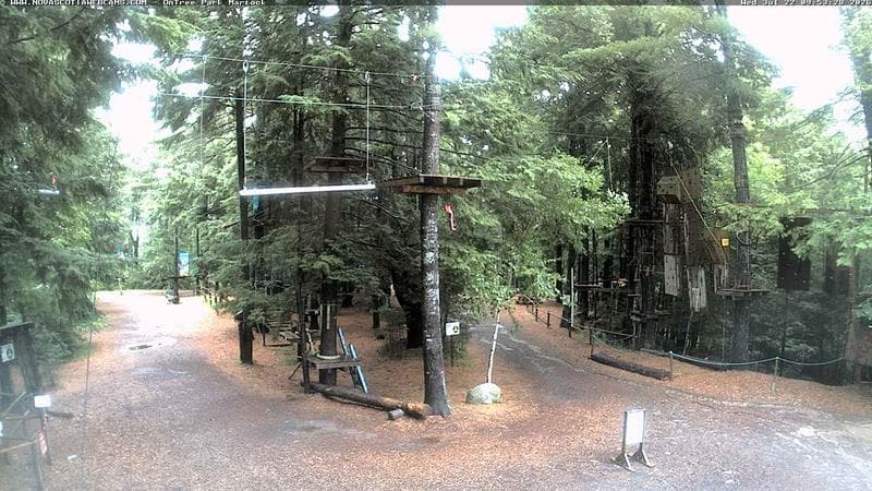 Ontree Park