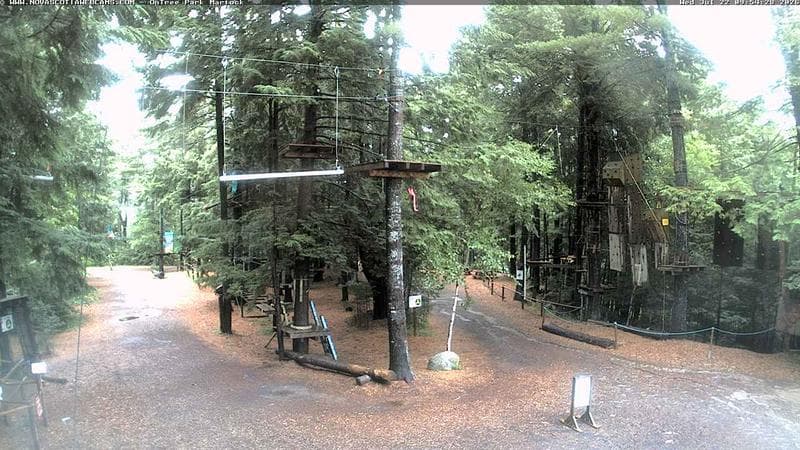 Ontree Park