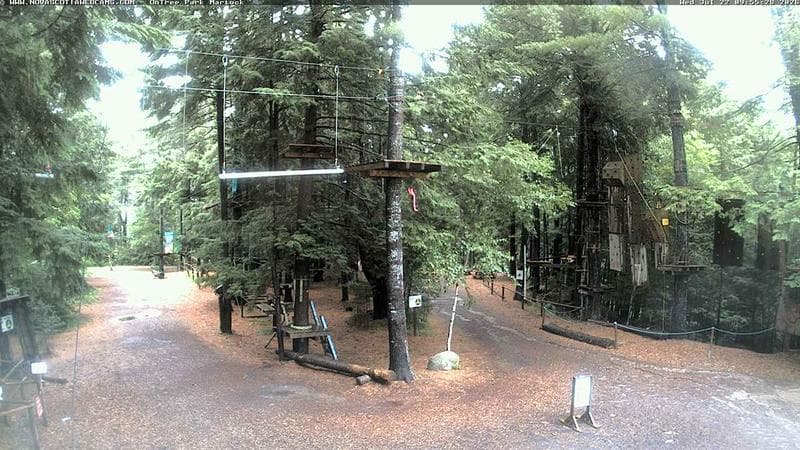 Ontree Park