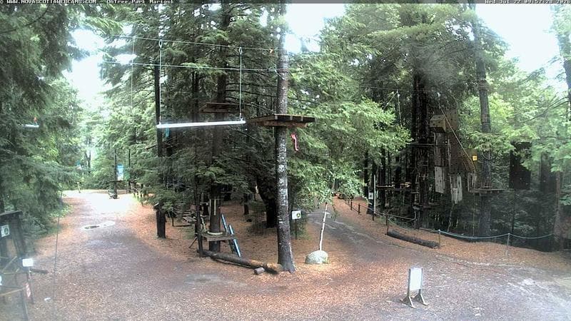 Ontree Park