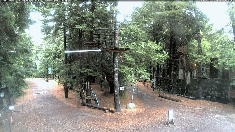 Ontree Park