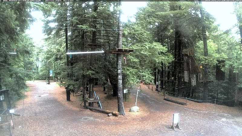 Ontree Park