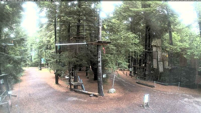 Ontree Park