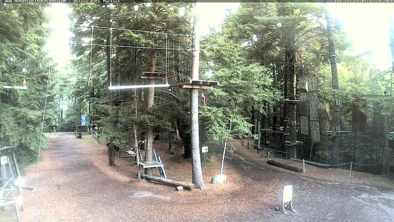 Ontree Park