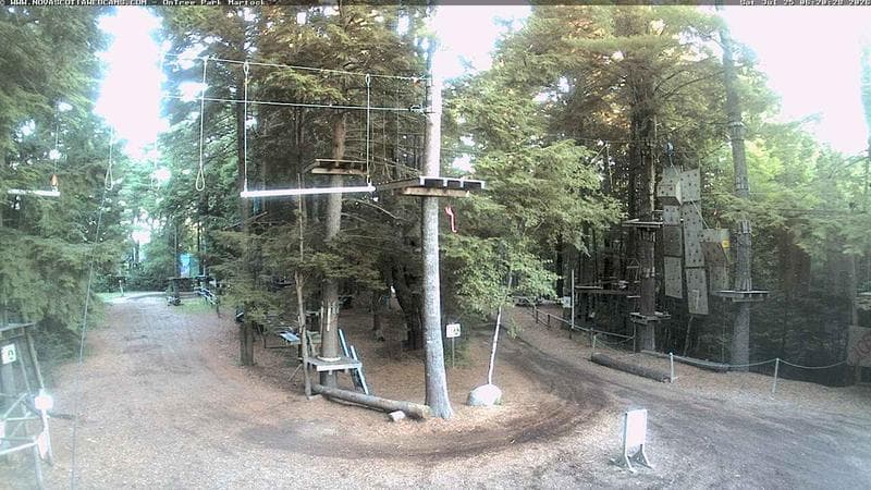 Ontree Park