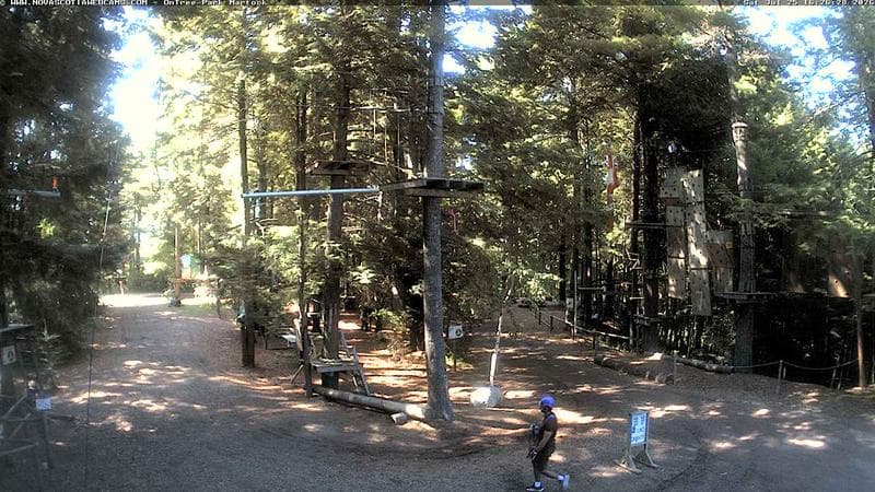 Ontree Park