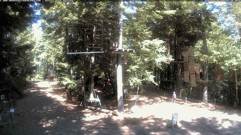 Ontree Park