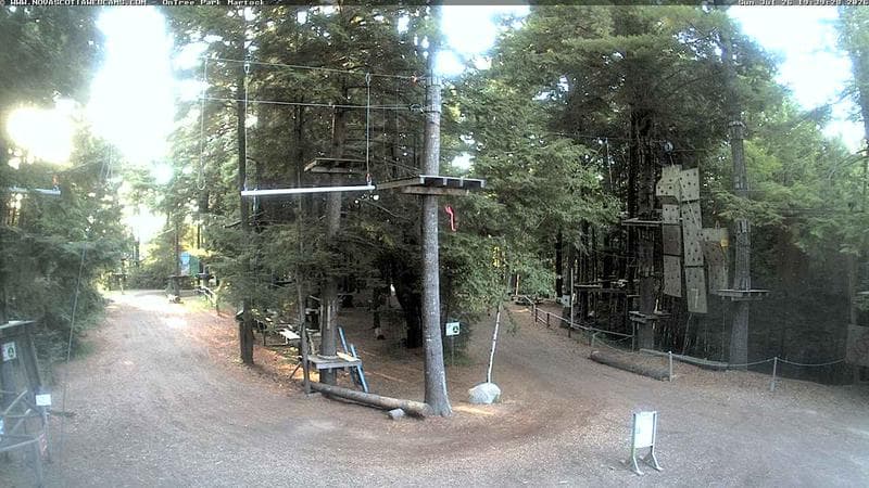 Ontree Park