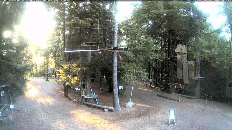 Ontree Park