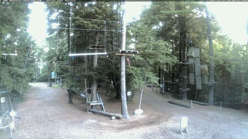 Ontree Park